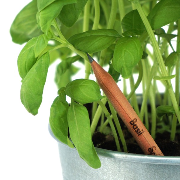 pencil with seeds - basil