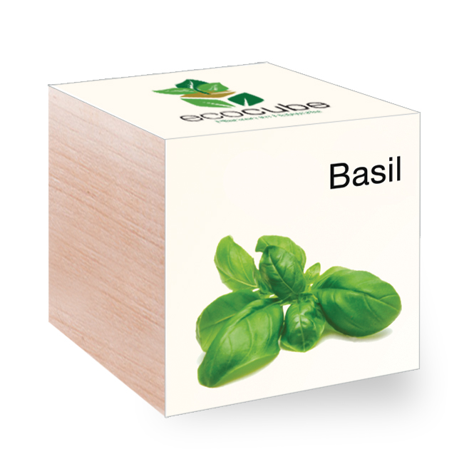 Ecocube avec graines - herbes