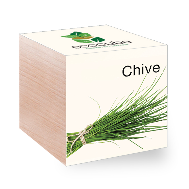 Ecocube avec graines - herbes