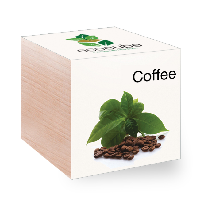 Ecocube with seeds - exotics