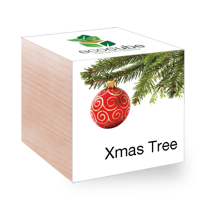 Ecocube met zaden - Kerstmis