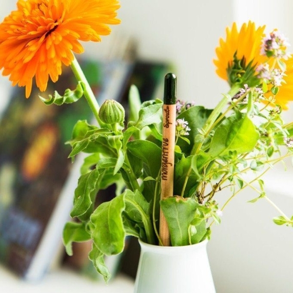 pencil with seeds - forget-me-not