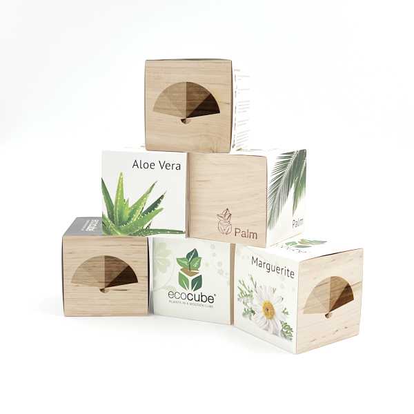 Ecocube with seeds - trendline