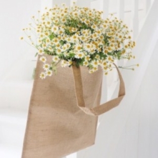 images/productimages/small/1143-fairbag.jpg