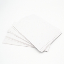 images/productimages/small/blanco-papier-a4-200g-1.jpg