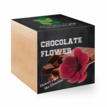 images/productimages/small/chocolate-flower-1ste.jpg