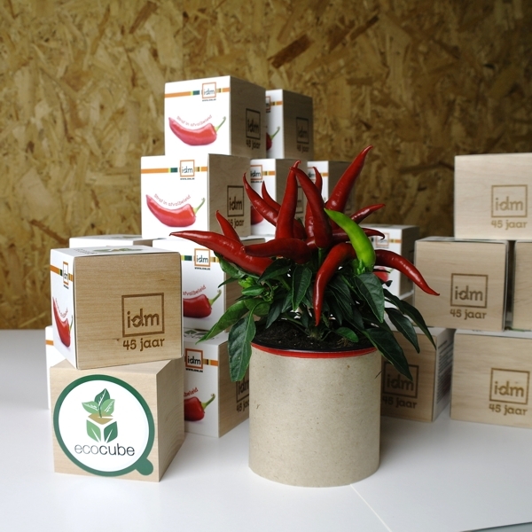 images/productimages/small/ecocube-iok-4.jpg