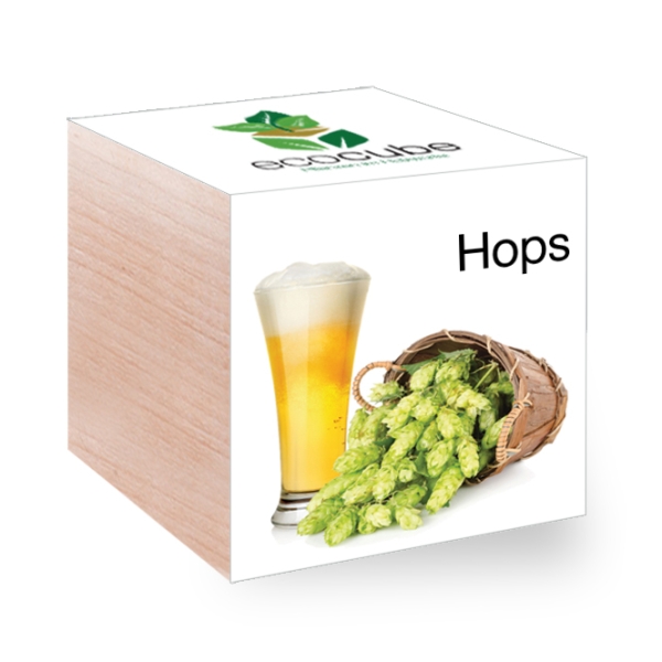 images/productimages/small/hops-1ste.jpg