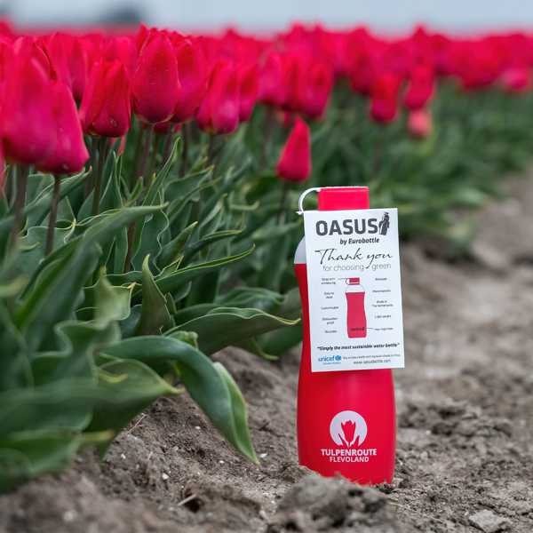 images/productimages/small/oasus-bottle-bloemen.jpg