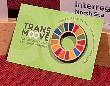 SDG pins in group