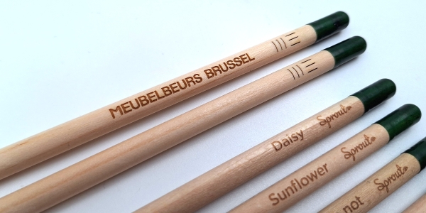 Bleistift mit Samen - Gänseblümchen