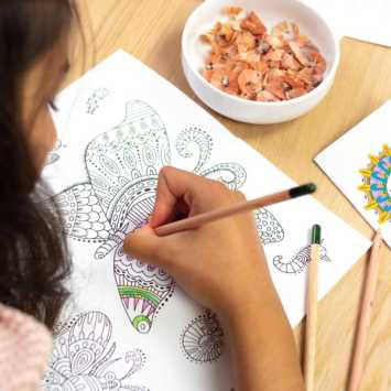 kleurpotlood met zaden - geel: margriet