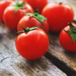 Bleistift mit Samen - Kirschtomate