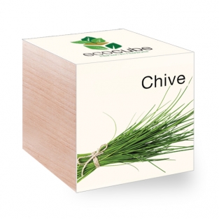 Ecocube avec graines - herbes