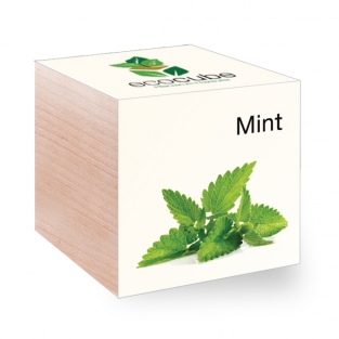 Ecocube with seeds - herbs