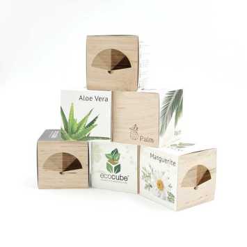 Ecocube avec graines - herbes