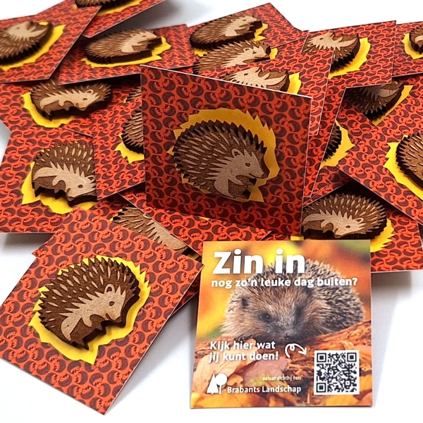 Pin, gerecycled hout - natuur