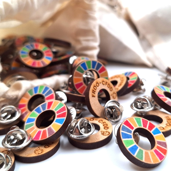 SDG pin off recycled wood