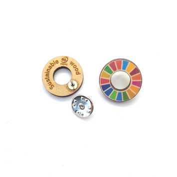 SDG pins PEFC