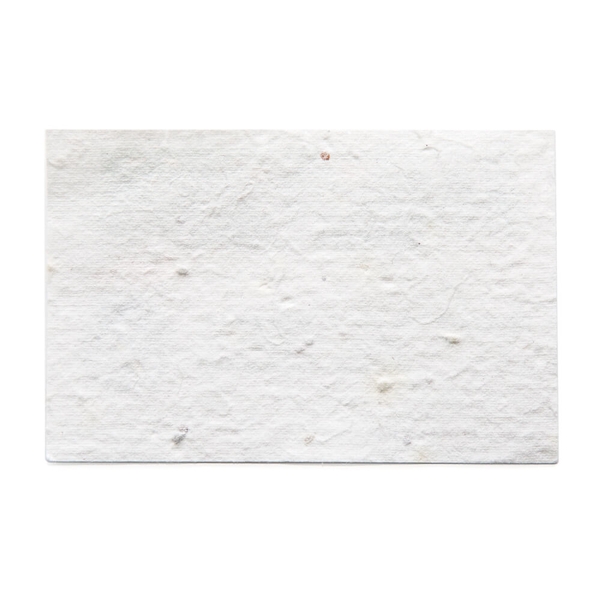 papier ensémencé - imprimé 200g - A6