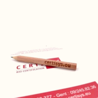 Notizblock +Bleistift - 100 Blatt - eine Farbe (Umschlag + Seiten)