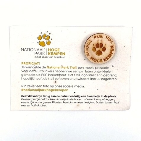 Pin, peuplier - nature