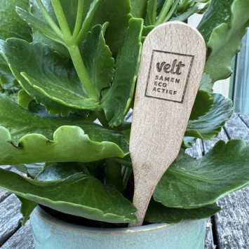 Wooden plant plug, flower sign