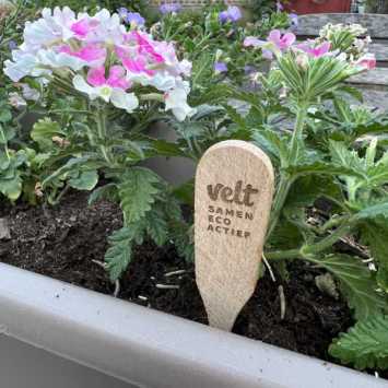 Wooden plant plug, flower sign