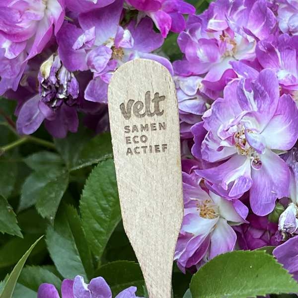 Wooden plant plug, flower sign