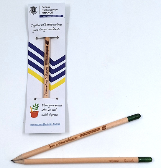 Bleistift mit Samen - Gänseblümchen