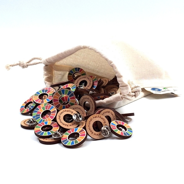 SDG pins close-up