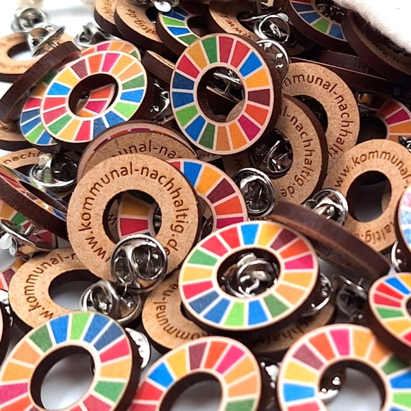 SDG pins group