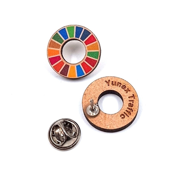 SDG pins group