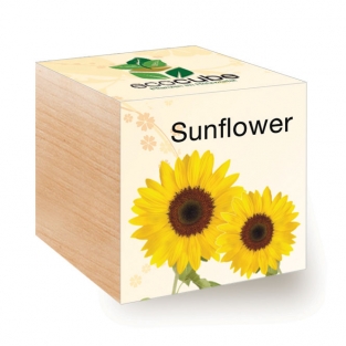 Ecocube with seeds - flowers