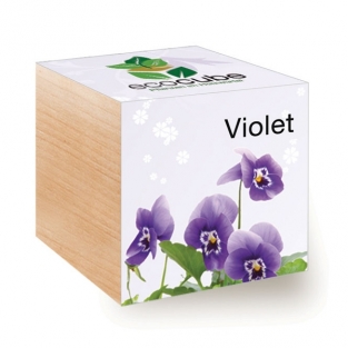 Ecocube mit Samen - Blumen